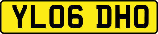 YL06DHO