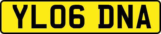 YL06DNA