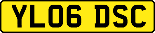 YL06DSC