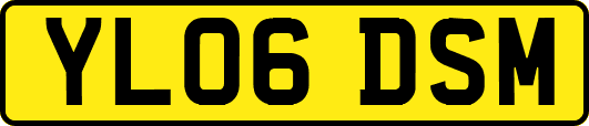 YL06DSM