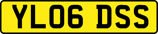 YL06DSS
