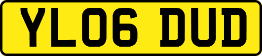 YL06DUD