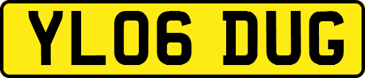 YL06DUG