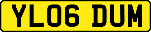YL06DUM