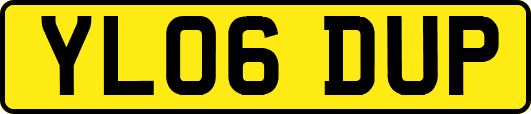YL06DUP