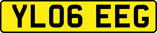 YL06EEG