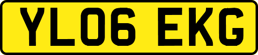 YL06EKG