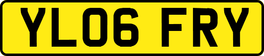 YL06FRY