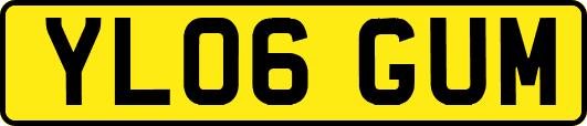 YL06GUM