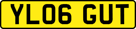 YL06GUT
