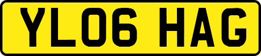 YL06HAG
