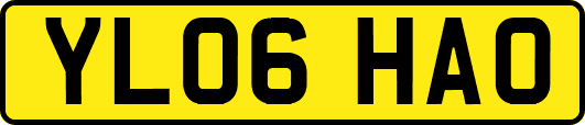 YL06HAO