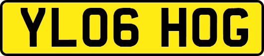 YL06HOG