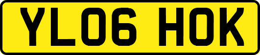 YL06HOK