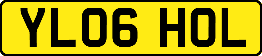 YL06HOL