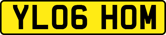 YL06HOM