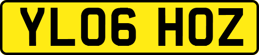 YL06HOZ
