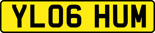 YL06HUM