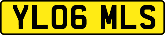 YL06MLS