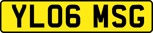 YL06MSG