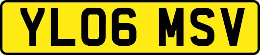 YL06MSV