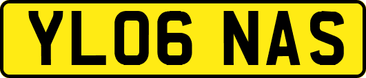 YL06NAS