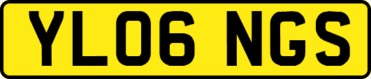 YL06NGS