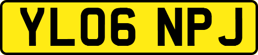 YL06NPJ
