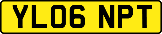YL06NPT