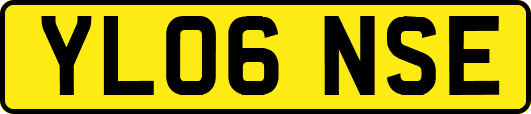 YL06NSE