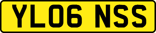 YL06NSS