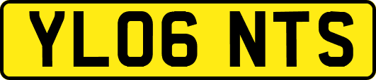 YL06NTS
