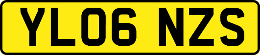 YL06NZS
