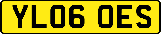 YL06OES