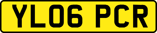 YL06PCR
