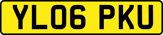YL06PKU