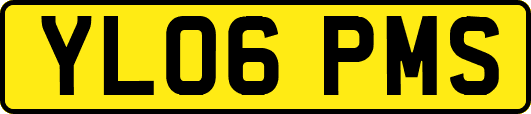 YL06PMS