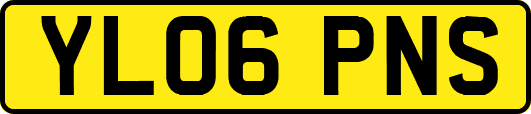 YL06PNS