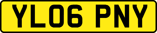 YL06PNY