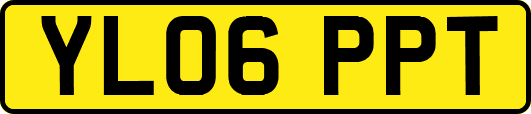 YL06PPT