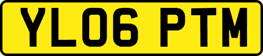 YL06PTM