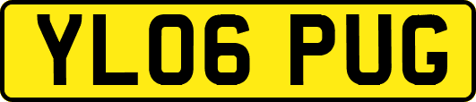 YL06PUG