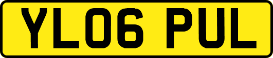 YL06PUL