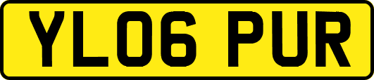 YL06PUR