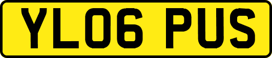 YL06PUS