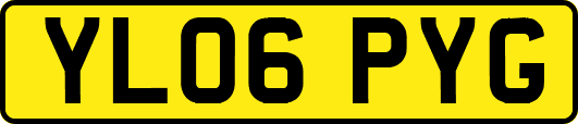 YL06PYG