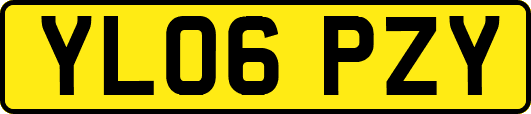 YL06PZY