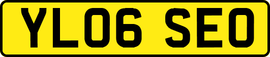 YL06SEO