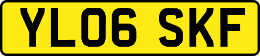 YL06SKF