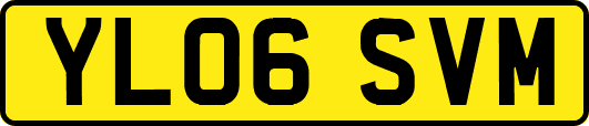 YL06SVM